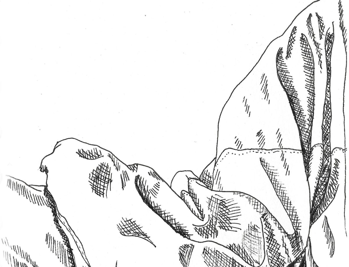 35