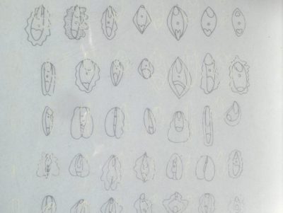 P1070288