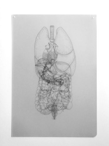Radiographie méconnaissance du corps 2019