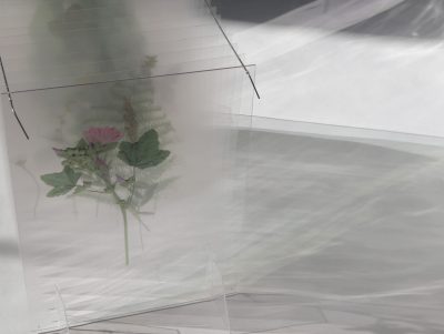 S-AP1002209